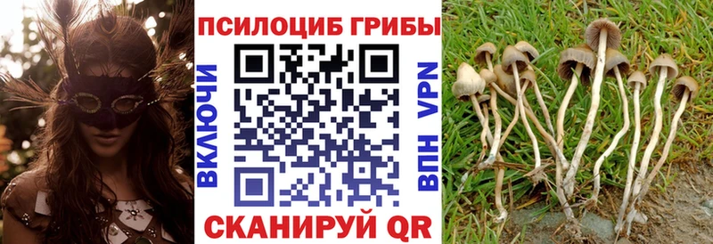 Галлюциногенные грибы MAGIC MUSHROOMS  Усть-Катав 